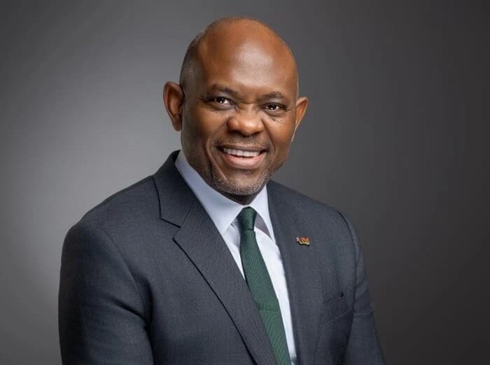 Elumelu’s UBA exit sharpens focus on energy and industrial assets
